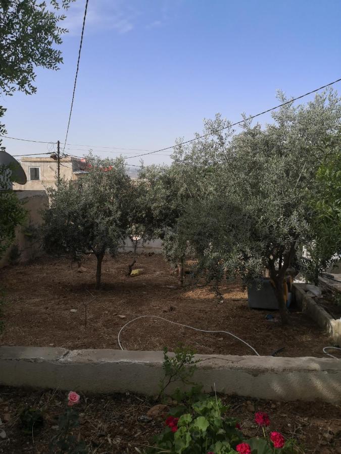 White Tulips Apartment الزنبقة البيضاء Dzseras Kültér fotó