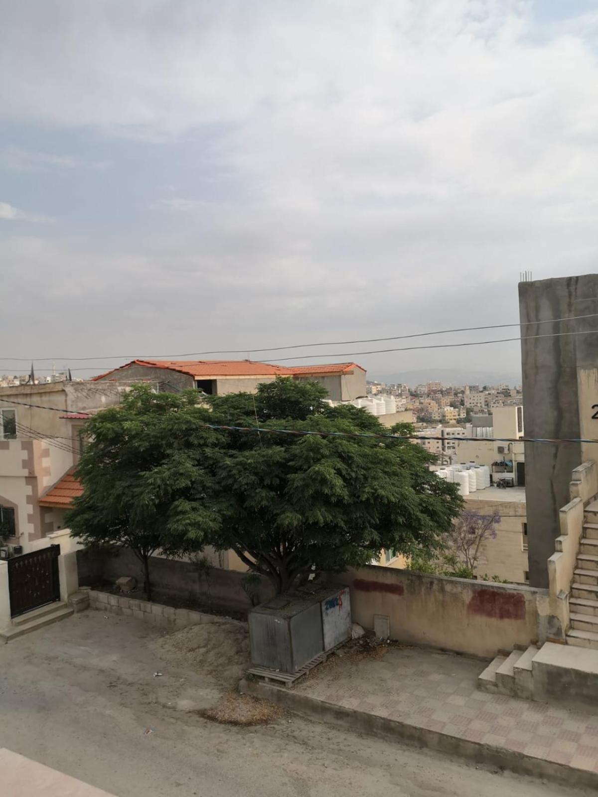 White Tulips Apartment الزنبقة البيضاء Dzseras Kültér fotó